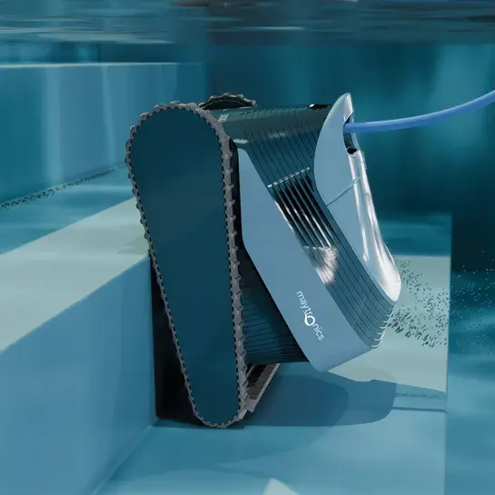 Dolphin-S1000 (1).webp