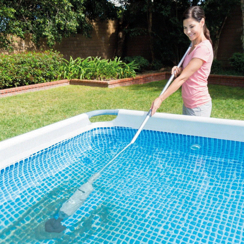Brosse aspirateur de fond rechargeable Pure SPA