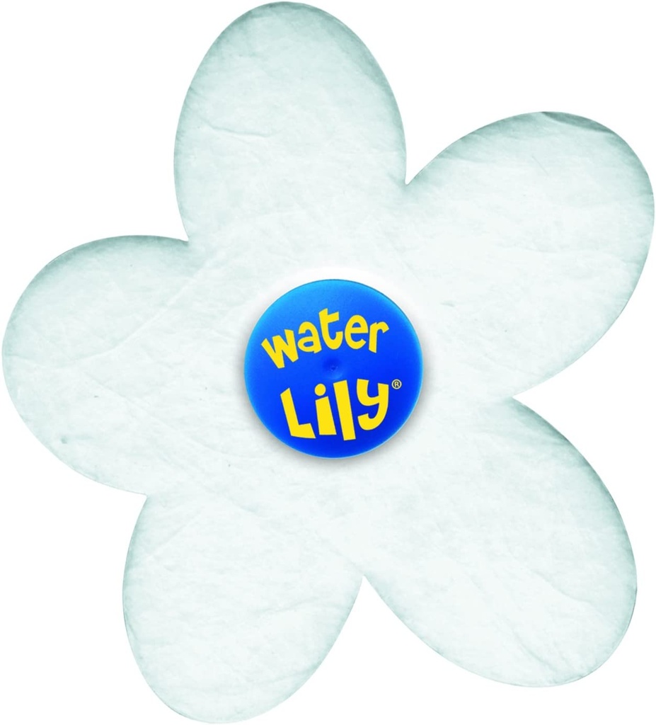 Water Lily boite de 6water