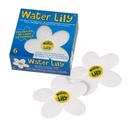 Water Lily boite de 6