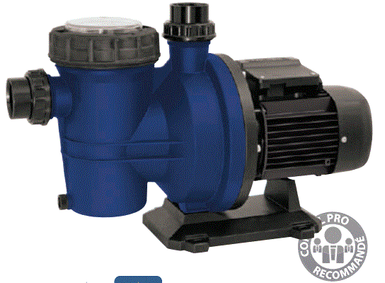 pompe de filtration Bering One