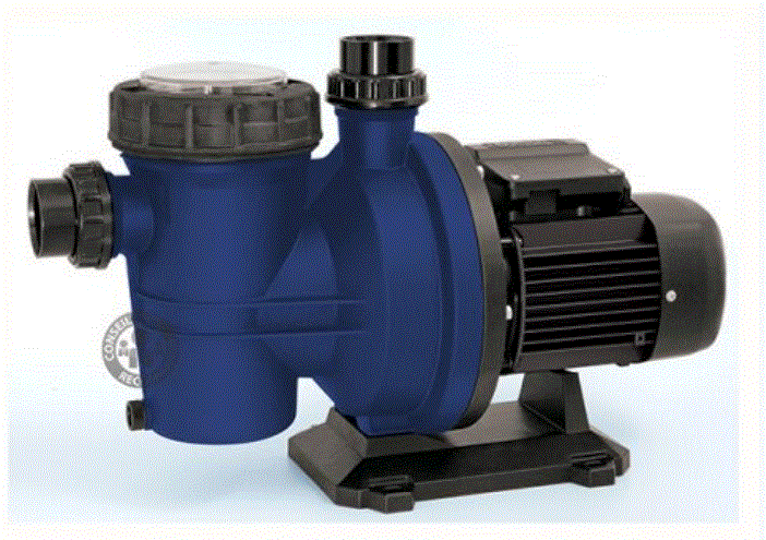 pompe de filtration Bering One