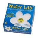 Water Lily® : L’absorbant de crème solaire