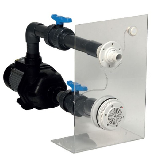 Nage à contre courant